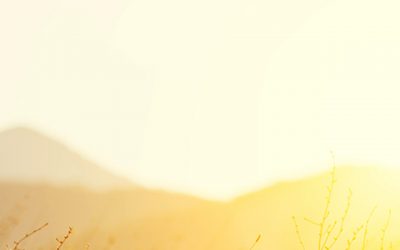 Inscrivez-vous à l’un de nos webinaires sur le CÉLI!